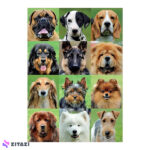پازل 500 تکه ادوکا مدل Dogs colage