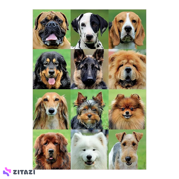 پازل 500 تکه ادوکا مدل Dogs colage