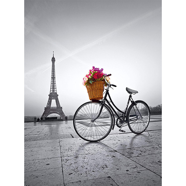 پازل 500 تکه کلمنتونی مدل Paris
