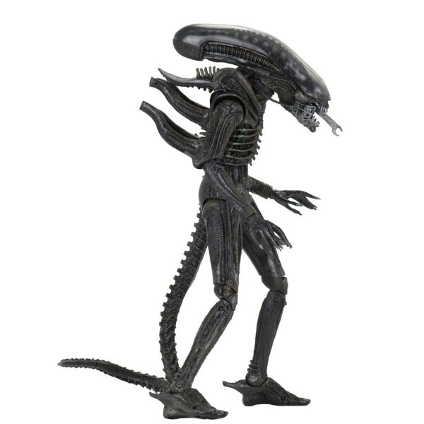 اکشن فیگور Alien Xenomorph برند نکا