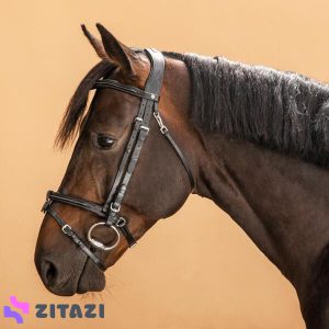 هالتر چرمی اسب فوگانزا مدل Fouganza 580