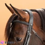 هالتر چرمی - طول اسب و اسب - 580