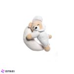آویز تخت کودک یانیک مدل خرس و ماه