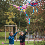 بادبادک طرح پروانه مدل ORAO Static Kite