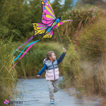 بادبادک طرح پروانه مدل ORAO Static Kite