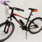 دوچرخه شهری ویوا مدل DRAGON 24105 سایز 24