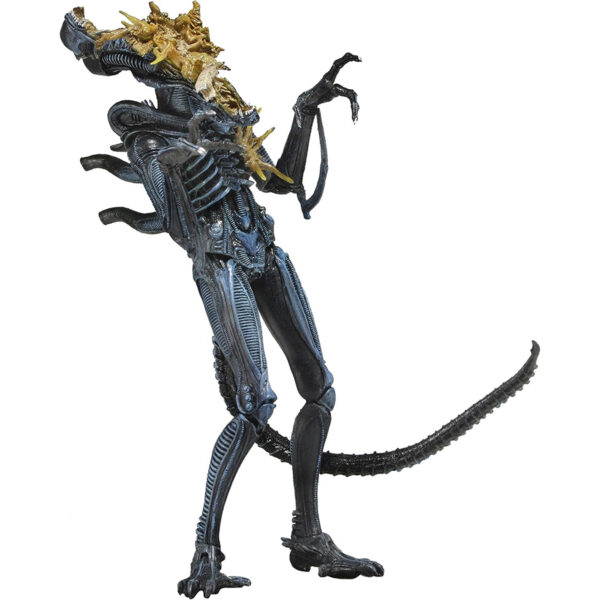 اکشن فیگور نکا مدل آلین طرح Xenomorph warrior face battle damage