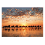 پازل 1000 تکه ادوکا مدل Sunset In Cab - Image 2