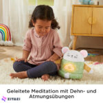 عروسک فیشر پرایس Fisher Price مدل Meditations-Maus