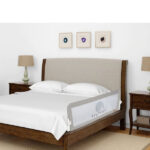 محافظ تخت کودک کیوی Kiwi مدل 150×65 طرح حیوانات