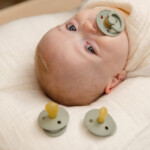 پک دو عددی پستانک بیبس مدل Dark Sage Huntergreen سایز 6-18 ماه BIBS