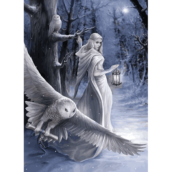 پازل 1000 تکه آرت پازل طرح Anne Stokes کد 5229