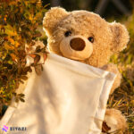 عروسک خرس دالی مدل S87