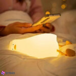 چراغ خواب اتاق کودک مدل اردک خسته