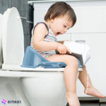 تبدیل توالت فرنگی کودک Meleni Baby