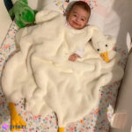 پتو مخملی کودک Modakids طرح اردک
