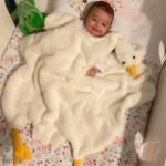 پتو مخملی کودک Modakids مدل duck