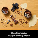 لگو سری آیکن مدل Leonardo da Vinci's Flying Machine کد 10363