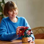 لگو سری آیکن مدل Poinsettia کد 10370