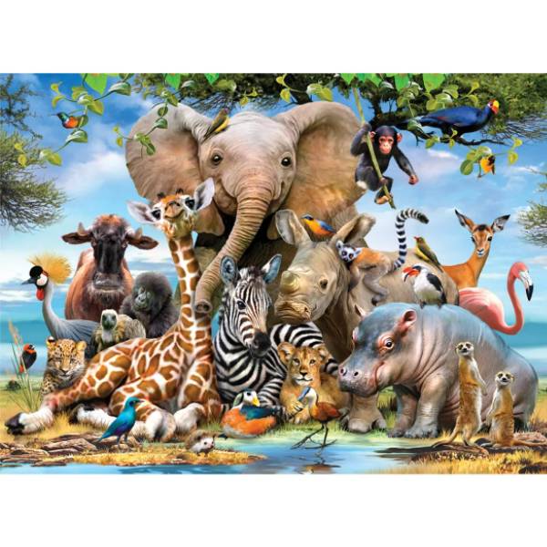 پازل 500 تکه آناتولین طرح Africa Smile کد 1043