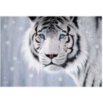 پازل 500 تکه آناتولین طرح White Tiger کد 3613
