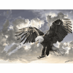 پازل 500 تکه آرت پازل طرح Black and White کد 4167