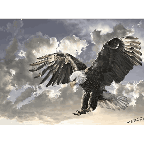 پازل 500 تکه آرت پازل طرح Black and White کد 4167