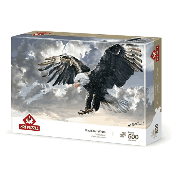 پازل 500 تکه آرت پازل طرح Black and White کد 4167
