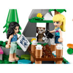 لگو سری فرندز مدل Forest Camper Van and Sailboat کد 41681