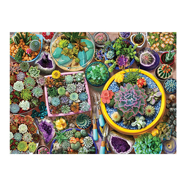 پازل 1000 تکه آناتولین طرح Cacti Pots کد 1122