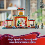 لگو سری نینجاگو مدل Ninja Spinjitzu Temple کد 71831