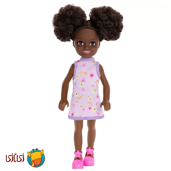 عروسک باربی چلسی با اکسسوری Barbie مدل HXM96