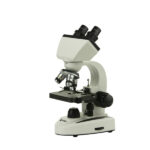میکروسکوپ تحقیقاتی زیتازی Binoview مدل S40B با بزرگنمایی 400 برابر هد 2 چشمی و عدسی شیئی