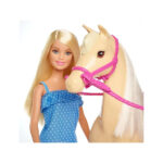 عروسک باربی مدل Doll and Horse Playset کد FXH13