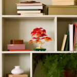 لگو سری بوتانیکالز مدل Japanese Red Maple Bonsai Tree کد 10348