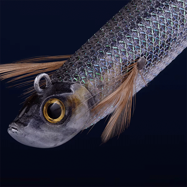 طعمه پلاستیکی ماهیگیری مدل Ebifish 3.0/120 ماهی مرکب و کفال Caperlan