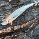 طعمه مصنوعی ماهیگیری ماهی کفال مدل Caperlan Ebifish 3.0-120