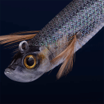 طعمه مصنوعی ماهیگیری ماهی کفال مدل Caperlan Ebifish 3.0-120