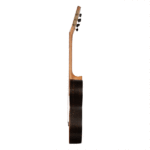 گیتار پارسی مدل Parsi K120