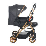 کالسکه دو طرفه QESSO Baby مدل Aqua کد 01