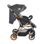 کالسکه دو طرفه QESSO Baby مدل Aqua کد 01