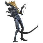 اکشن فیگور الین بیگانه مدل Alien Xenomorph Head Damage برند نکا کد MH