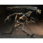 اکشن فیگور الین بیگانه AVP Alien Queen