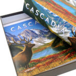 بازی ایرانی کسکیدیا Cascadia