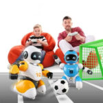 ربات کنترلی مدل Footballist