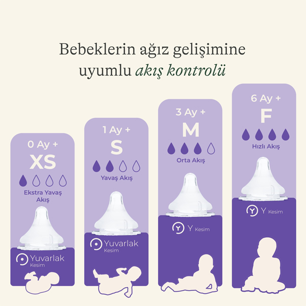سر شیشه