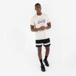 شلوارک بسکتبال تارمک مدل NBA SH 900