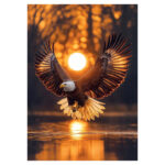 پازل 1000 تکه آرت پازل مدل Wings of The Sun کد 41002