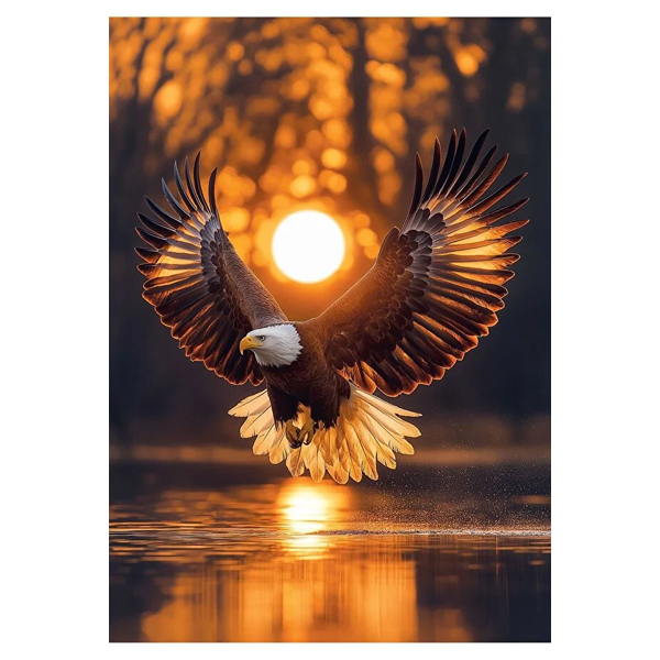 پازل 1000 تکه آرت پازل مدل Wings of The Sun کد 41002