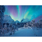 پازل 1500 تکه راونزبرگر طرح The Arctic Show
